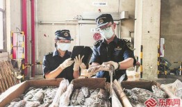 记者爆料鱿鱼视频大全,鱿鱼视频大全背后的惊人真相